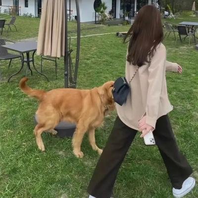 雏子的笔记